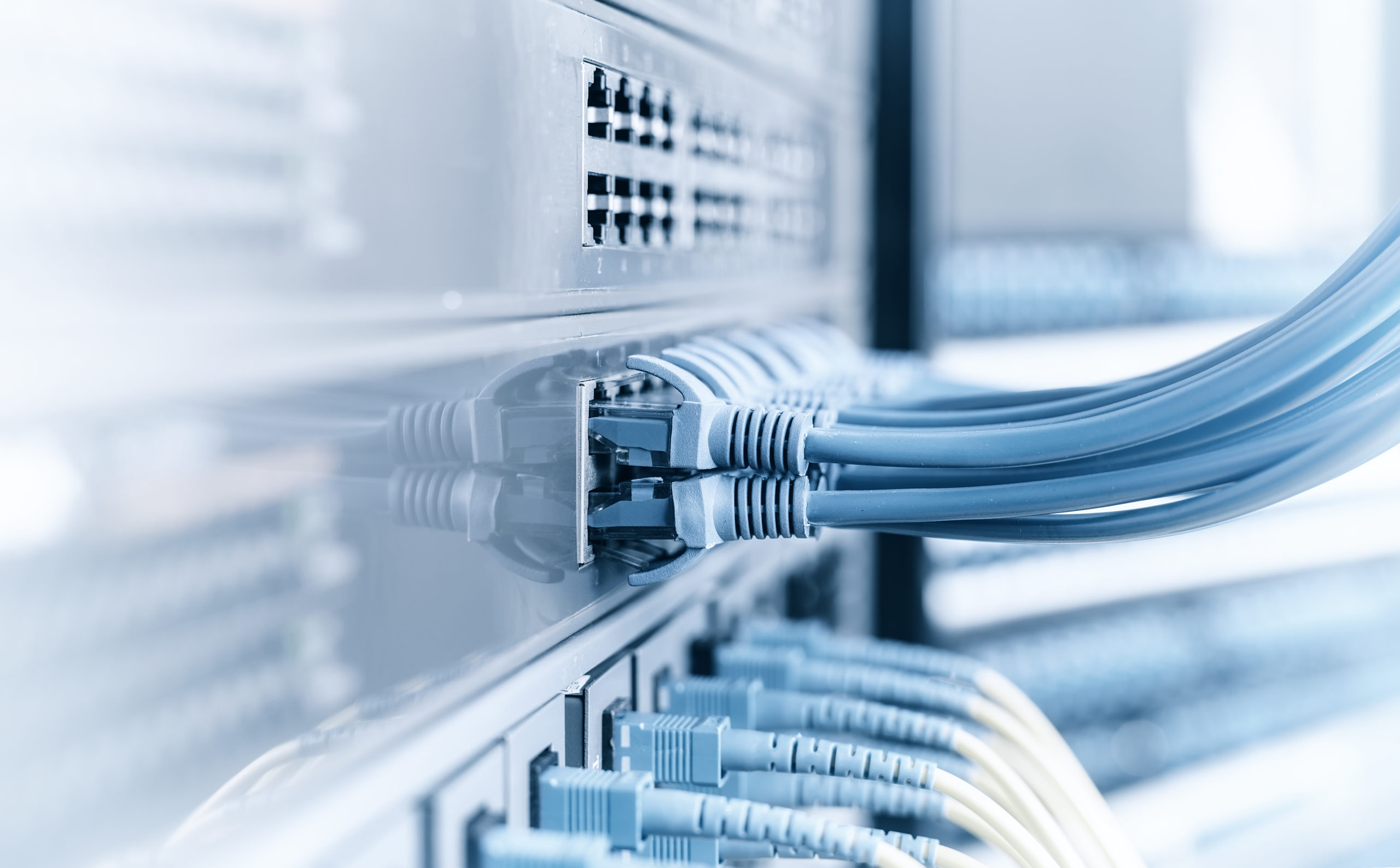 Darstellung einer IT-Infrastruktur: Nahaufnahme von mehreren blauen Ethernet-Kabeln, die in Netzwerk-Switches eingesteckt sind. Die Kabel verlaufen geordnet in verschiedene Ports, während das Bild eine klare, technisch saubere Umgebung vermittelt.