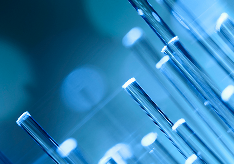 Nahaufnahme mehrerer Reagenzgläser in einem Labor für biomedizinische Forschung.