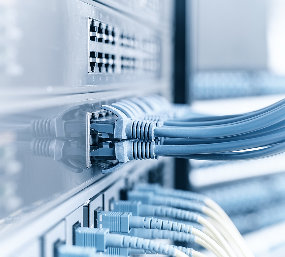 Darstellung einer IT-Infrastruktur: Nahaufnahme von mehreren blauen Ethernet-Kabeln, die in Netzwerk-Switches eingesteckt sind. Die Kabel verlaufen geordnet in verschiedene Ports, während das Bild eine klare, technisch saubere Umgebung vermittelt.
